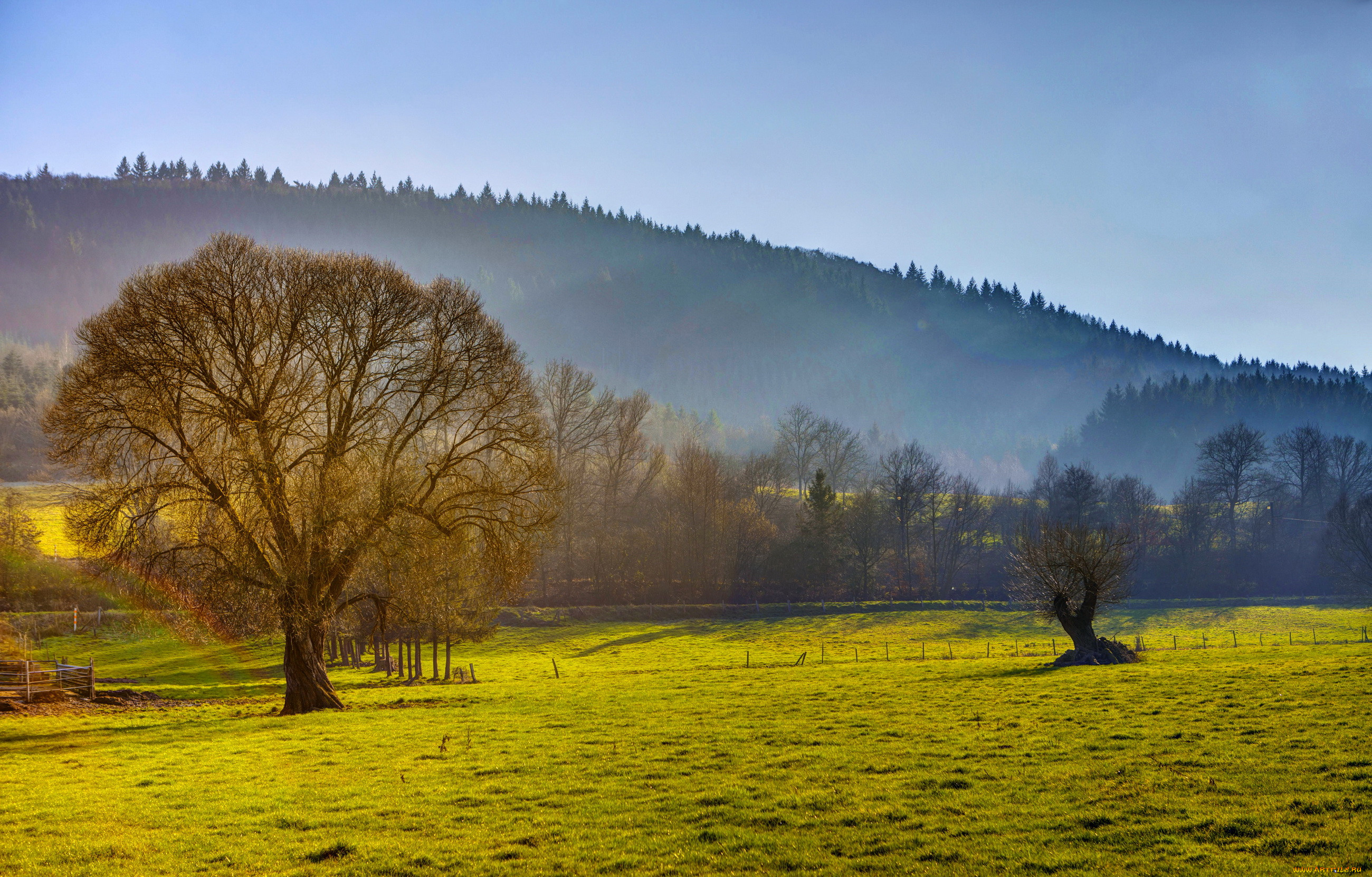 alf , mosel,   , , , , , 
